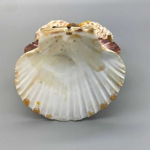 Vintage Owl Shell Art Clock Handmade Kitsch Souvenir 1970s - Picture 13 of 16